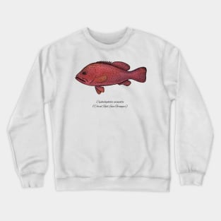 cephalopholis miniata Crewneck Sweatshirt